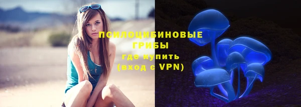 мдпв Дмитровск