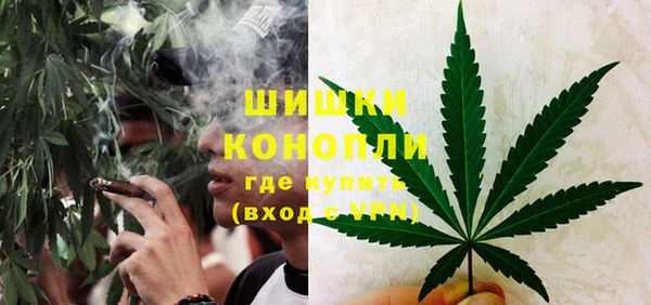 мдпв Дмитровск