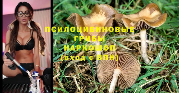 MDMA Premium VHQ Дмитров